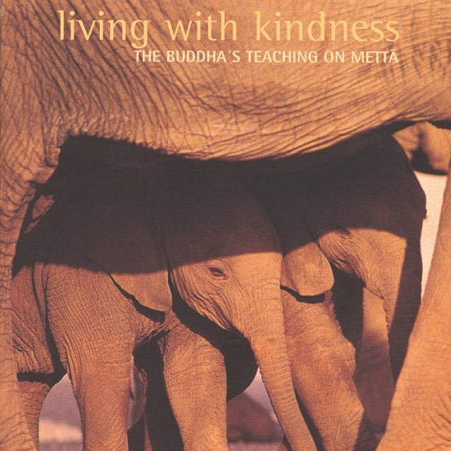 Living with Kindness (The Buddha's Teaching on Metta) | free buddhist audio